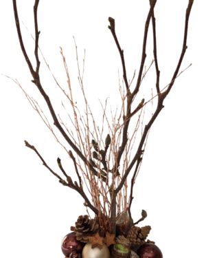 Winterse Elegantie(1)