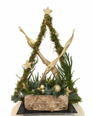 Kerst 11 dec Golden star tree 1